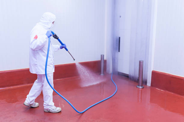 Best Rust Removal  in Whitney, TX